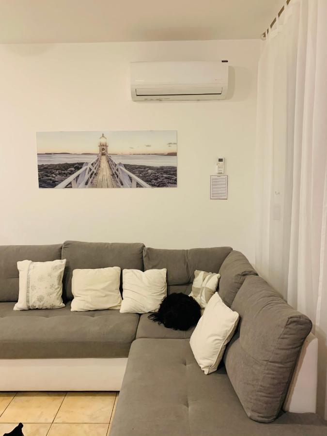 Ivana Apartment With Terrace Novalja Eksteriør billede